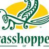 grasshopper247